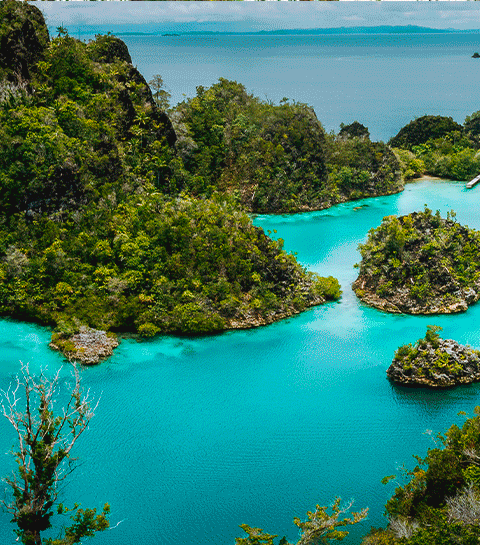 </section>
</body>
</html>